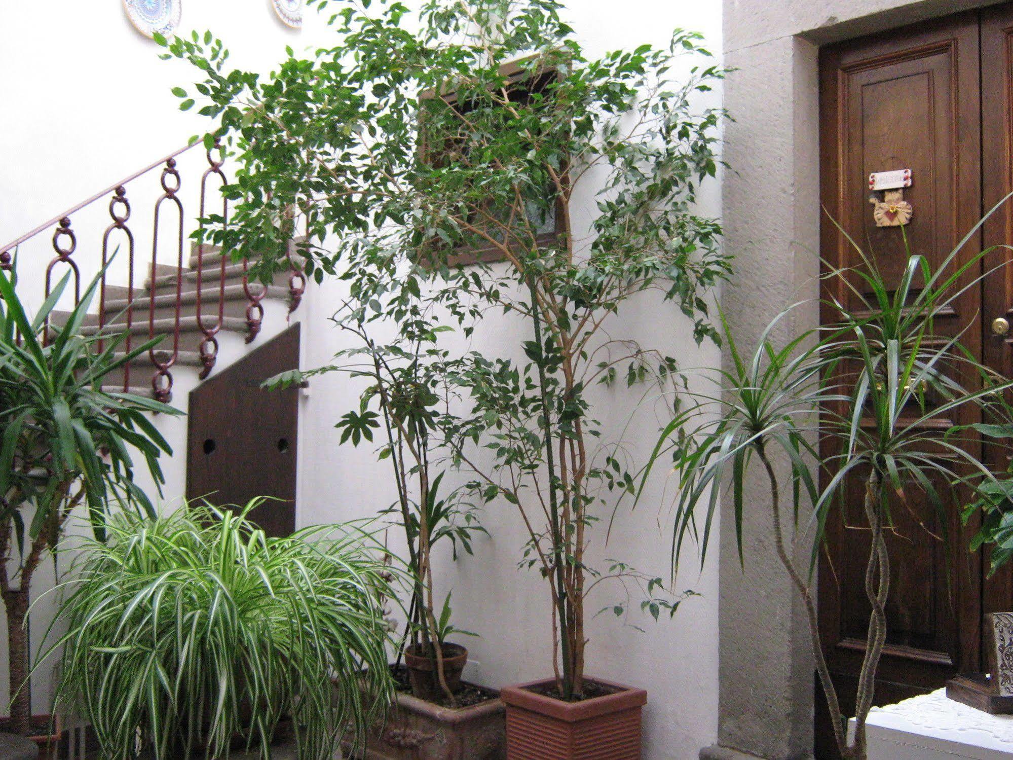 Bed and Breakfast Bb Santa Rosa Витербо Экстерьер фото